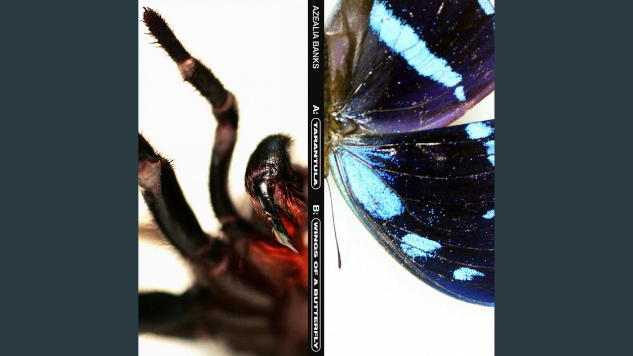 Watch Tarantula on YouTube Watch Tarantula on YouTube