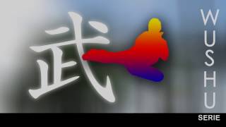 Basic and Elementary Methods of Wushu Practice - CHANGQUAN