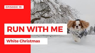 Dog TV - Dashing through the Snow on a Magical White Christmas Day by Tantissimo the Cavie 186 views 2 years ago 1 minute, 49 seconds