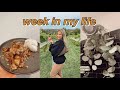 week in my life: apple picking, nyc dinner, puppy + kitty content | maddie cidlik