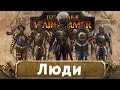Люди (знакомимся с Вархаммер) | Total War: Warhammer