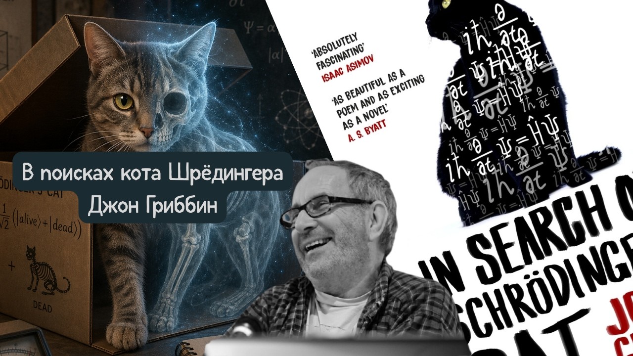 Как понять квантовый мир за одно видео? Главные идеи книги «В поисках кота Шрёдингера»