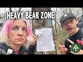 Appalachian trail thruhike day 12the big reason for a bear can crossing 100 miles