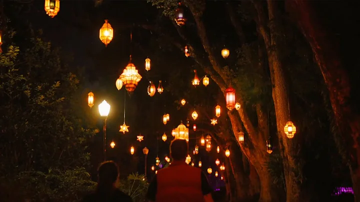 Dazzling Nights Orlando 2023