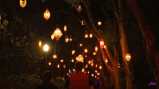 Dazzling Nights Orlando 2023