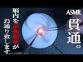 【ASMR】脳内を世界最強刺激が貫通するステンレス耳かき Penetration into the brain / Ear Cleaning / CS-10EM / 音フェチ / No Talking
