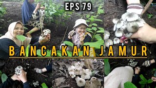 RAME RAME PERAYAAN JAMUR TERUCUK | BERBURU JAMUR LIAR EPS 79