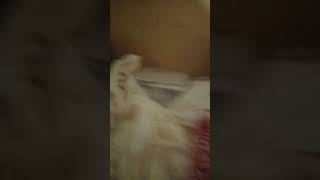 24 De Janeiro De 2023