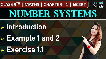 Class 9th Maths Chapter 1 | Introduction | Example 1 & 2 | Exercise 1.1 | Number Systems