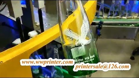 Camera Registration Glass Bottle Screen Printer CNC04