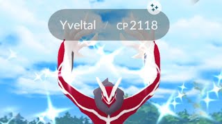 Shiny yveltal raid started in pokemon go.