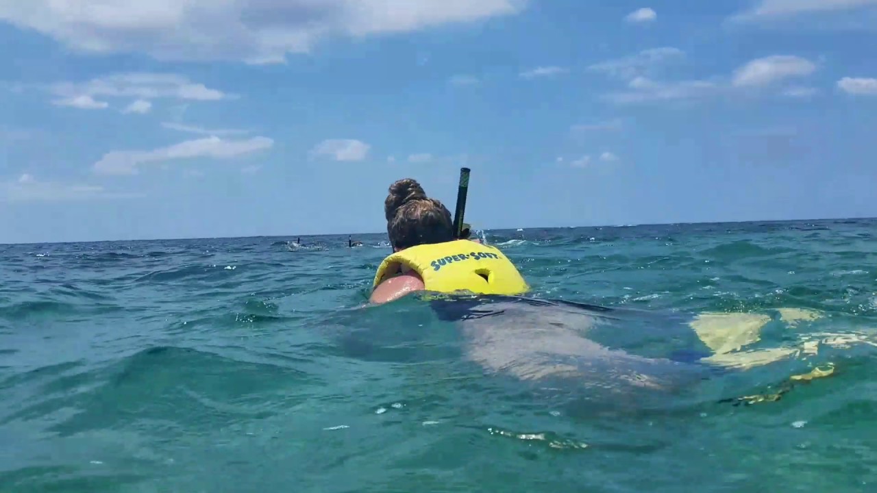 Snorkeling in Montego Bay Jamaica YouTube