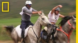 Grueling 80Mile Horse Race Demands More Than Speed | National Geographic