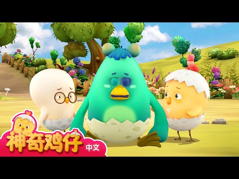 屋巴和萤火虫 | 4集系列 | 拍拍拍可莫 | 夜晚的故事 | 自然之光