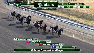 Vidéo de la course PMU PRIX DE GREENWICH VILLAGE