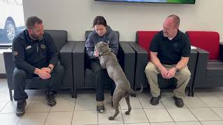 Meet Erin: Adoption Tuesday! by Williams Toyota Of Binghamton 195 views 1 month ago 2 minutes, 32 seconds