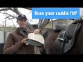 Dressage Saddle Fit