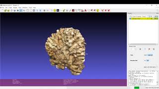 Mesh lab- 3D model and volume Resimi