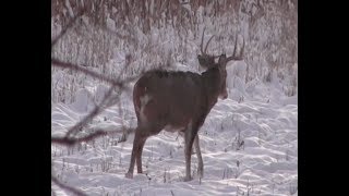 2018 November18th All Day Hunt #4 with Don Mealey