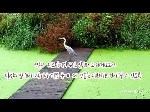 영상썸네일