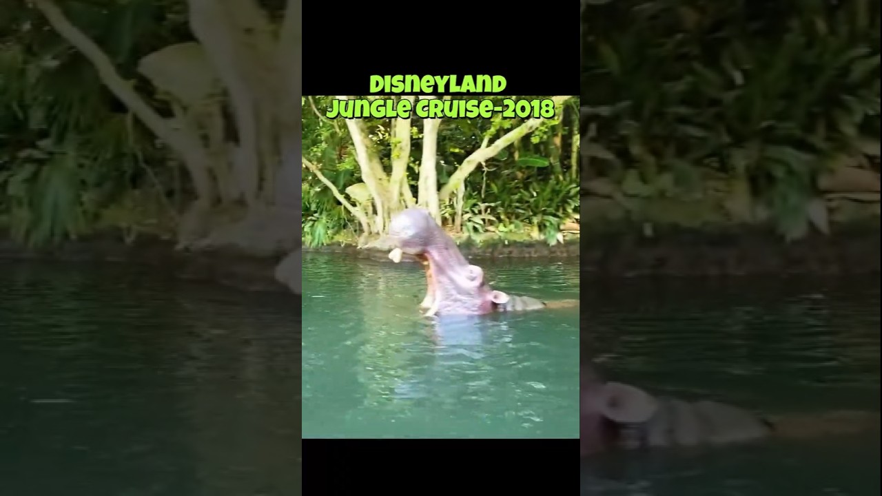 Disneyland Jungle Cruise 2018