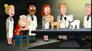 Family Guy: Brian found his true love again