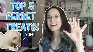 TOP 5 FERRET TREATS!