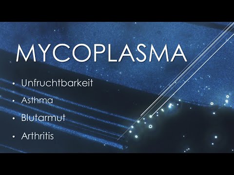 Video: Warum heißt Mycoplasma pplo?