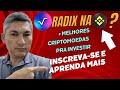 Melhores criptomoedas pra investir + RADIX pode fazer muitos milionários