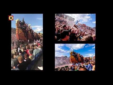 Zunderts bloemencorso 2020 wordt een beestenboel met honden, olifanten, schildpadden en een panter!