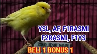 Download Lagu SPESIAL BELI 1 BONUS 1. F1RASMI, YSL, AF, RASMIBB DAN BETINA SIAPAN TERNAK MP3 Download Lagu SPESIAL BELI 1 BONUS 1. F1RASMI, YSL, AF, RASMIBB DAN BETINA SIAPAN TERNAK MP3
