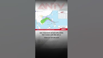 Bão Fengshen đổ bộ Biển Đông, gió mạnh cấp 9, giật cấp 11 #antv #shorts #baoso12