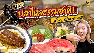 ลองปลาไหลธรรมชาตครงแรก ทราน Kensaku Eat Around Ep.435
