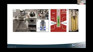 High Pressure Biological Small Angle X-ray Scattering