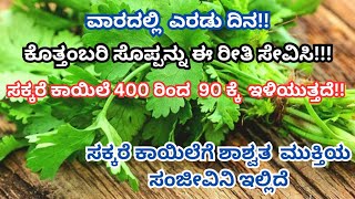 ಸಕ್ಕರೆ ಕಾಯಿಲೆ 400 ರಿಂದ 90 ಕ್ಕೆ ಇಳಿಯುತ್ತದೆ ಈ ರೀತಿ ಒಮ್ಮೆ ಮಾಡಿ ನೋಡಿ | 3 Tips To Diabetes Control screenshot 5