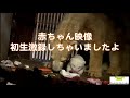 【天王寺動物園】赤ちゃん映像初生激録しちゃいましたよ