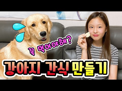 강아지 수제간식만들기! 음이유니가 로제를 위해 바나나쿠키 만들기를했어요! 과연 로제는 맛있게먹었을까요? homemade dog food recipe (가족일상브이로그)│헬로음이유니