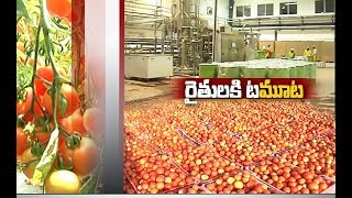 Jaikisan AP | 1st May'19 | Operation Greens for Tomato Porcessing by AP Food Processing