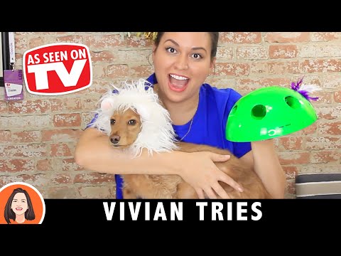 i-got-a-cat-to-help-me-review-this-as-seen-on-tv-product---vivian-tries