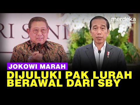 Asal Usul Julukan Pak Lurah untuk Presiden: Berawal dari SBY, Jokowi Kena 'Getah'