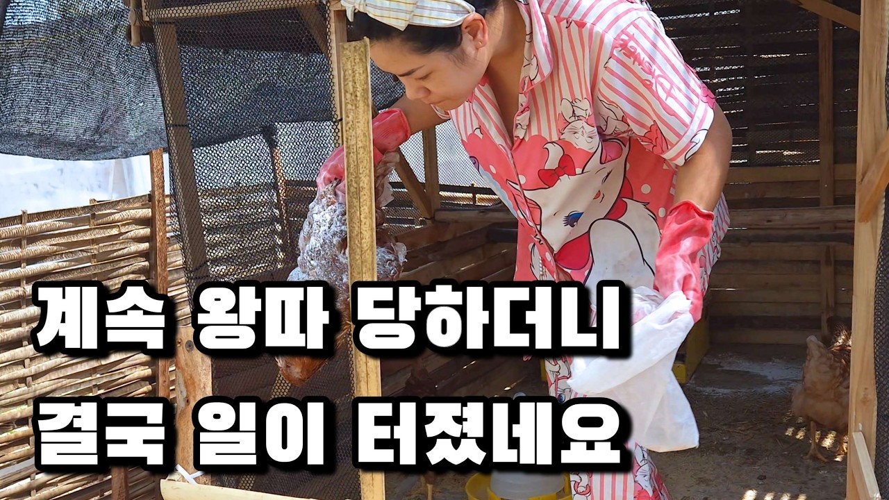 임신 4개월 차 라오스 아내를 위해 오랜만에 호강시켜줬습니다.