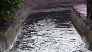 Cm Breakdown Announcement - Splash Mountain Disneyland December 2021