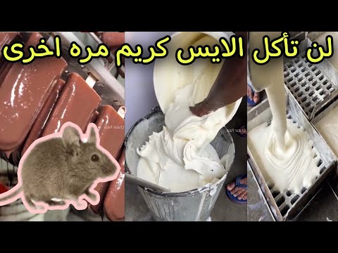التفاصيل المرعبة حول اسوأ مصنع ايس كريم في العالم
