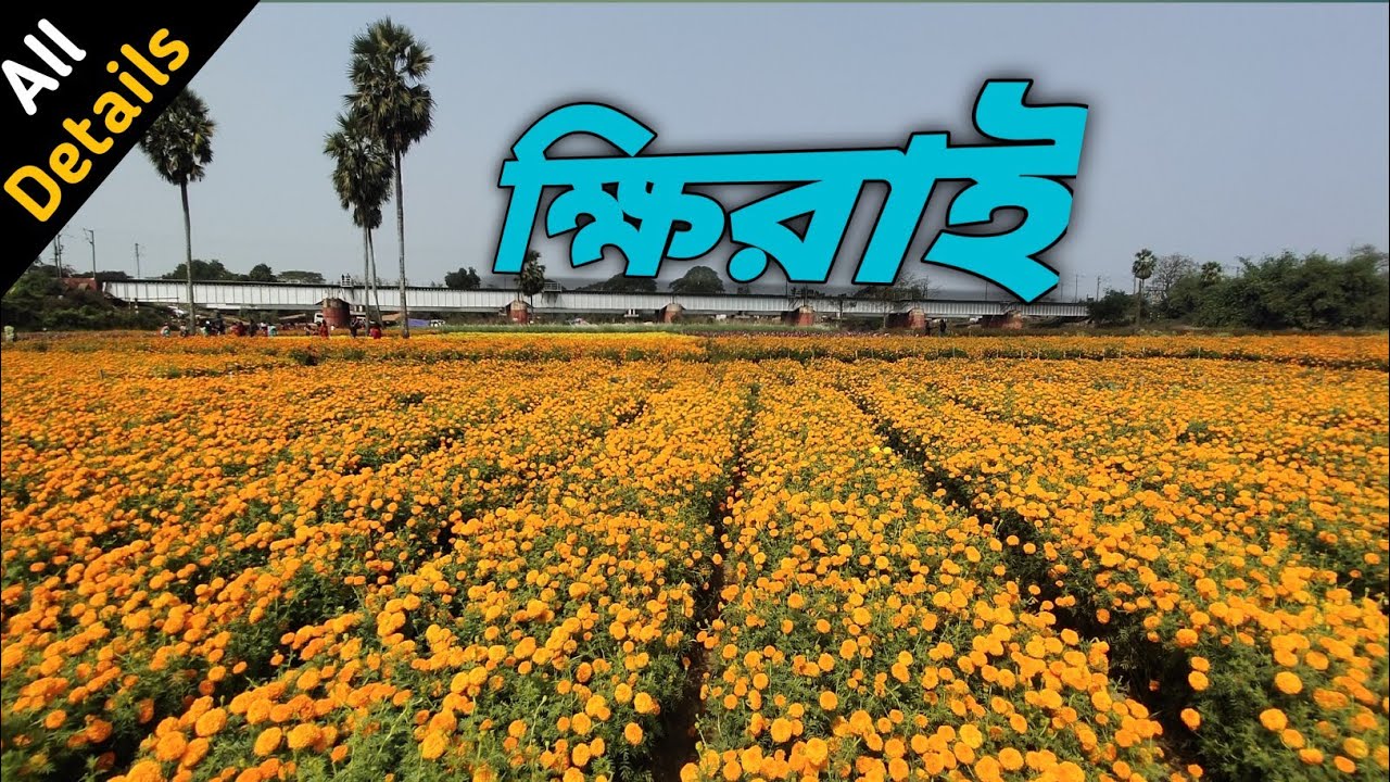 Khirai Valley Of Flowers Khirai Flower Garden Kolkata To Khirai