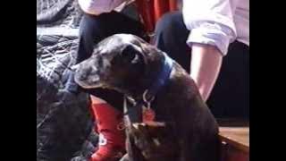 'Sometimes' - Lyrics: David Phillips,Music: Guy Kitchenn