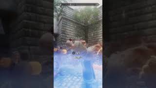 Ruining Skyrim’s Execution😂