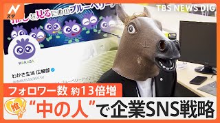 フォロワー約13倍に急増！「わかさ生活」の中の人は“馬”の広報　人気の秘訣は？最多いいねは「 #欠勤届を提出した 」投稿？【ゲキ推しさん】｜TBS NEWS DIG