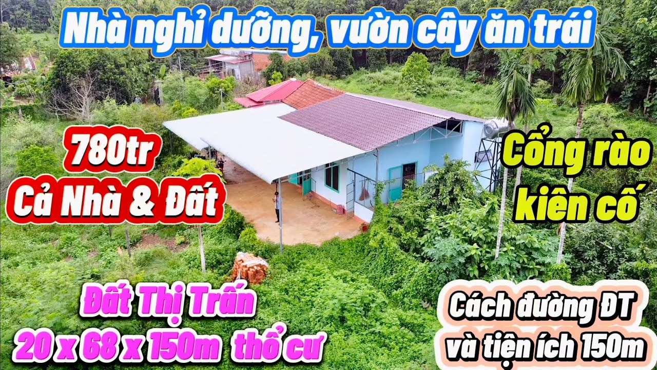 Nhà vườn cây ăn trái, đất thị trấn. sẵn mô hình nghỉ dưỡng. 1,2 tỉ nay bán chỉ 780tr. 1,369m2, 150tc