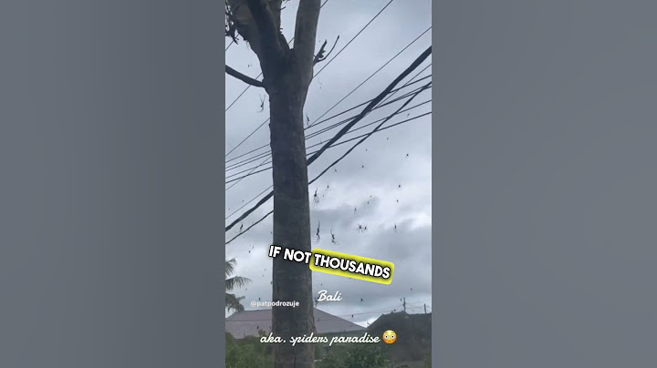 Bali is the Worst Vacation Spot 😳