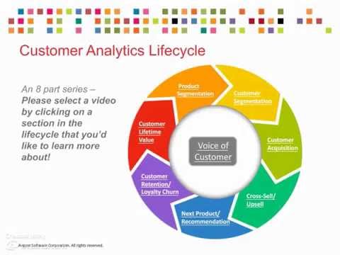 voice of the customer